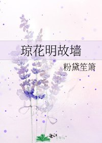 《琼花明故墙》