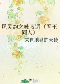 《风灵韵之咏叹调(网王同人)》