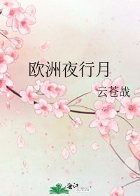 《欧洲夜行月》