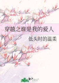 《穿越之谁是我的爱人》