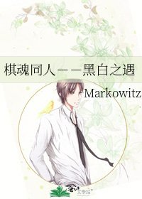 《棋魂同人--黑白之遇》