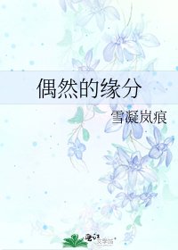《偶然的缘分》