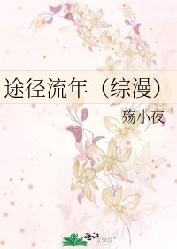 《途径流年(综漫)》