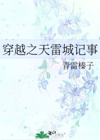 《穿越之天雷城记事》