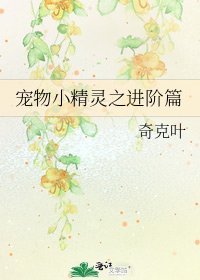 宠物小精灵之进阶篇