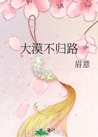 《大漠不归路》
