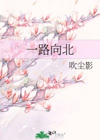 《一路向北》