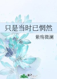 《只是当时已惘然》