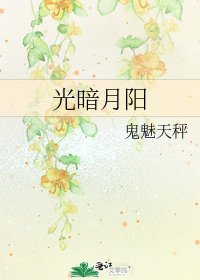 《光暗月阳》
