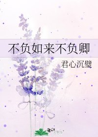 《不负如来不负卿》