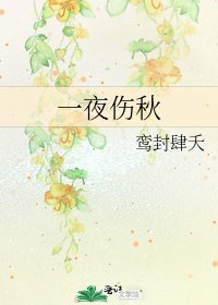 《一夜伤秋》