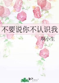 《不要说你不认识我》