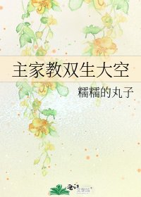 主家教双生大空