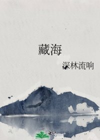 藏海