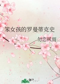 《笨女孩的罗曼蒂克史》