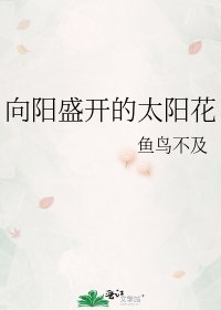 《向阳盛开的太阳花》