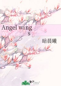 《Angel wings》