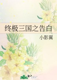 《终极三国之告白》