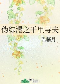 《伪综漫之千里寻夫》