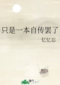 《只是一本自传罢了》