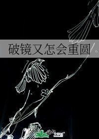 《破镜又怎会重圆》