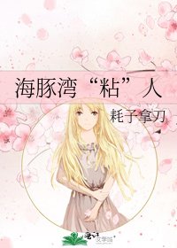 《海豚湾“粘”人》