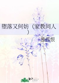 《堕落又何妨(家教同人)》