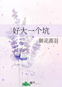 《好大一个坑》