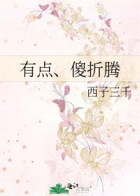 有点、傻折腾