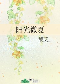 《阳光微夏》