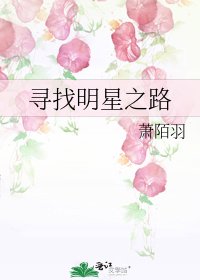 寻找明星之路