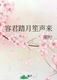 《容君踏月笙声来》