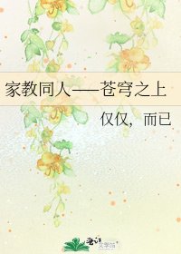 《家教同人——苍穹之上》