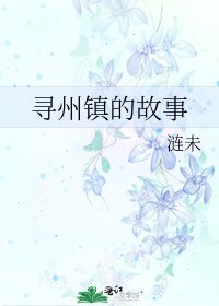 《寻州镇的故事》