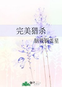 完美猎杀