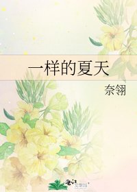 《一样的夏天》