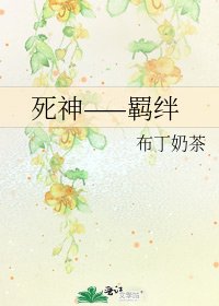 《死神——羁绊》
