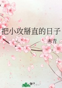 把小攻掰直的日子