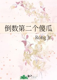 《倒数第二个傻瓜》