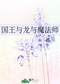 《国王与龙与魔法师》