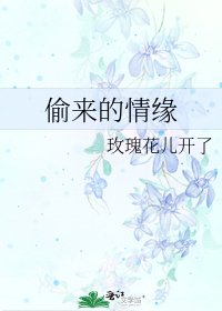 《偷来的情缘》