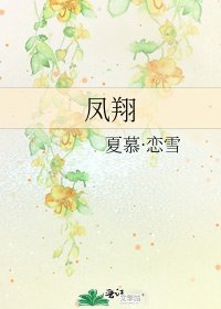 《凤翔》