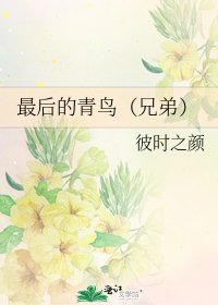 《最后的青鸟(兄弟)》