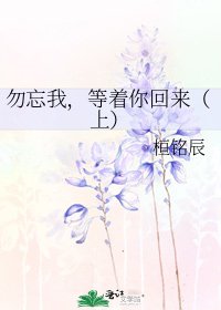 《勿忘我,等着你回来(上)》