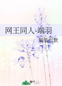 《网王同人-端羽》