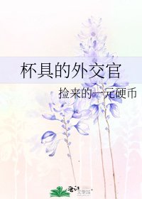 杯具的外交官