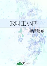 《我叫王小四》