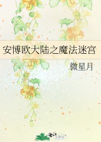 《安博欧大陆之魔法迷宫》