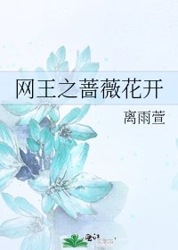 《网王之蔷薇花开》