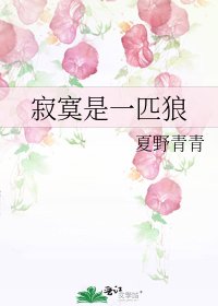 《寂寞是一匹狼》